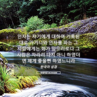 Picture 05 - 마태복음 26:24 KOR - 인자는 자기에게 대하여 기록된대로 - Bible Verse Picture