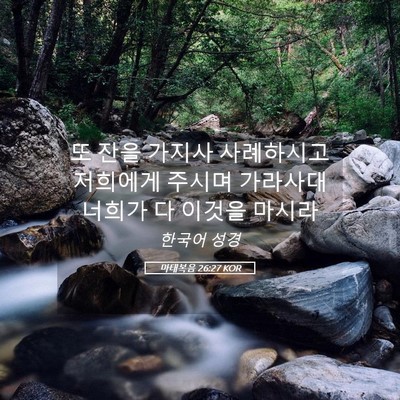 Picture 05 - 마태복음 26:27 KOR - 또 잔을 가지사 사례하시고 저희에게 - Bible Verse Picture