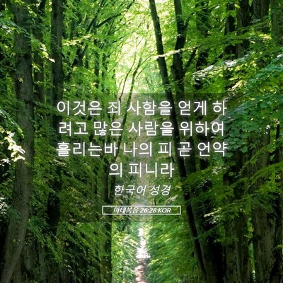 Picture 05 - 마태복음 26:28 KOR - 이것은 죄 사함을 얻게 하려고 많은 - Bible Verse Picture