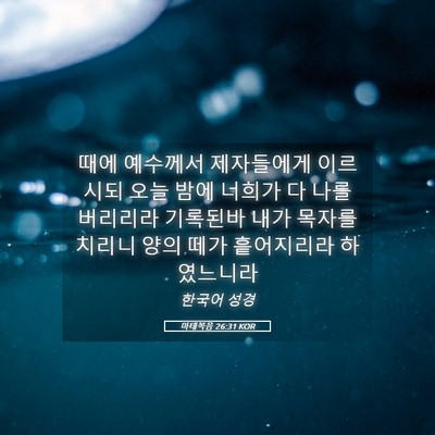 Picture 05 - 마태복음 26:31 KOR - 때에 예수께서 제자들에게 이르시되 - Bible Verse Picture