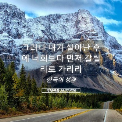Picture 05 - 마태복음 26:32 KOR - 그러나 내가 살아난 후에 너희보다 - Bible Verse Picture