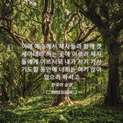 Picture 05 - 마태복음 26:36 KOR - 이에 예수께서 제자들과 함께 - Bible Verse Picture