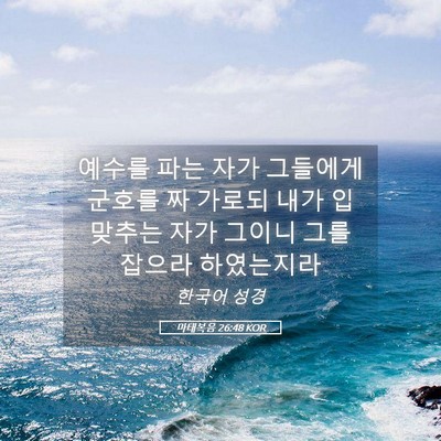 Picture 05 - 마태복음 26:48 KOR - 예수를 파는 자가 그들에게 군호를 - Bible Verse Picture