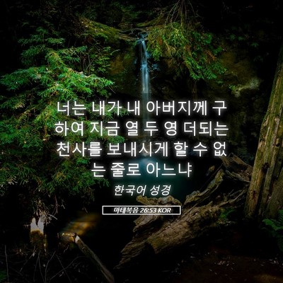 Picture 05 - 마태복음 26:53 KOR - 너는 내가 내 아버지께 구하여 지금 - Bible Verse Picture