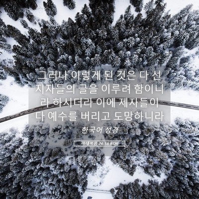 Picture 05 - 마태복음 26:56 KOR - 그러나 이렇게 된 것은 다 - Bible Verse Picture
