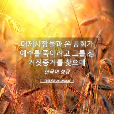 Picture 05 - 마태복음 26:59 KOR - 대제사장들과 온 공회가 예수를 - Bible Verse Picture