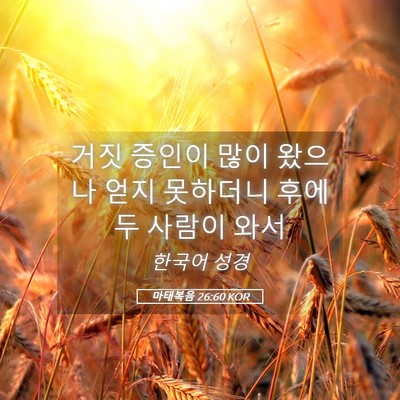 Picture 05 - 마태복음 26:60 KOR - 거짓 증인이 많이 왔으나 얻지 - Bible Verse Picture