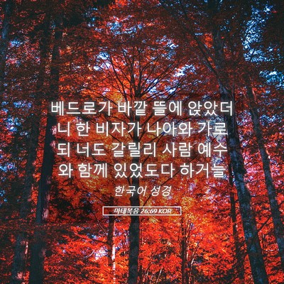 Picture 05 - 마태복음 26:69 KOR - 베드로가 바깥 뜰에 앉았더니 한 - Bible Verse Picture