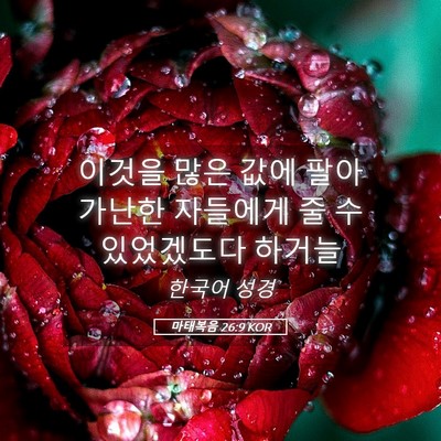 Picture 05 - 마태복음 26:9 KOR - 이것을 많은 값에 팔아 가난한 - Bible Verse Picture