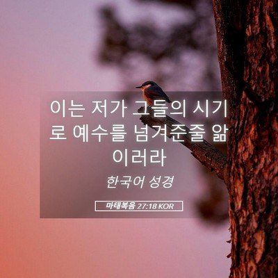 Picture 05 - 마태복음 27:18 KOR - 이는 저가 그들의 시기로 예수를 - Bible Verse Picture