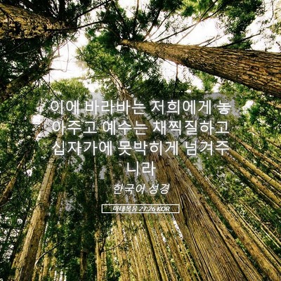 Picture 05 - 마태복음 27:26 KOR - 이에 바라바는 저희에게 놓아주고 - Bible Verse Picture