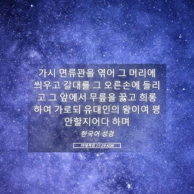 Picture 05 - 마태복음 27:29 KOR - 가시 면류관을 엮어 그 머리에 - Bible Verse Picture