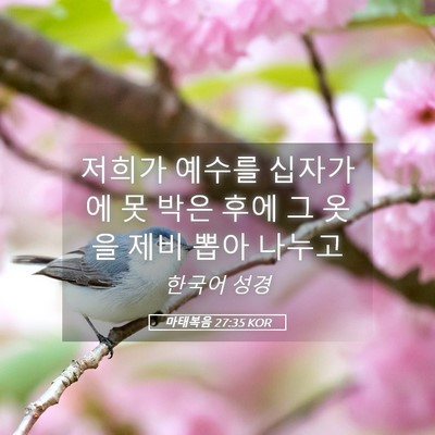Picture 05 - 마태복음 27:35 KOR - 저희가 예수를 십자가에 못 박은 - Bible Verse Picture