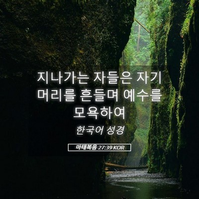 Picture 05 - 마태복음 27:39 KOR - 지나가는 자들은 자기 머리를 흔들며 - Bible Verse Picture