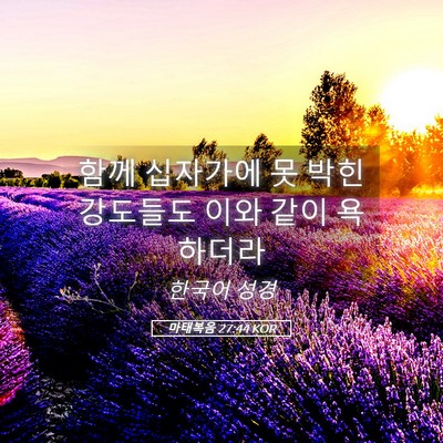 Picture 05 - 마태복음 27:44 KOR - 함께 십자가에 못 박힌 강도들도 - Bible Verse Picture