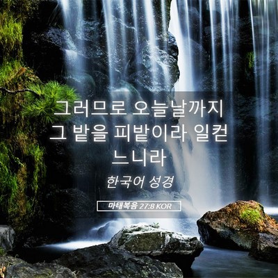 Picture 05 - 마태복음 27:8 KOR - 그러므로 오늘날까지 그 밭을 - Bible Verse Picture