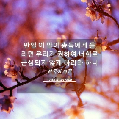 Picture 05 - 마태복음 28:14 KOR - 만일 이 말이 총독에게 들리면 - Bible Verse Picture