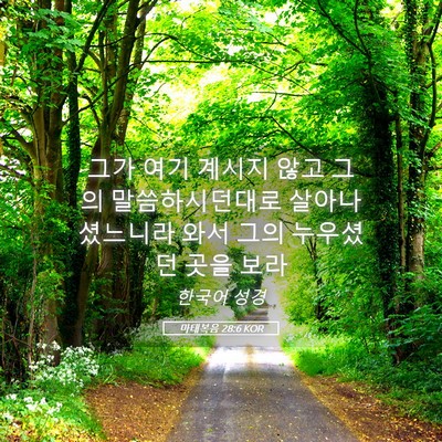 Picture 05 - 마태복음 28:6 KOR - 그가 여기 계시지 않고 그의 - Bible Verse Picture