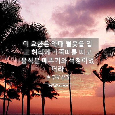 Picture 05 - 마태복음 3:4 KOR - 이 요한은 약대 털옷을 입고 허리에 - Bible Verse Picture