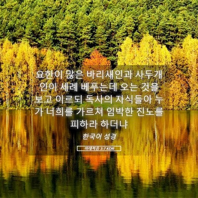 Picture 05 - 마태복음 3:7 KOR - 요한이 많은 바리새인과 사두개인이 - Bible Verse Picture