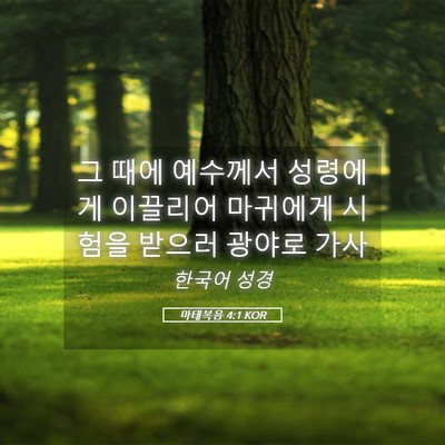 Picture 05 - 마태복음 4:1 KOR - 그 때에 예수께서 성령에게 이끌리어 - Bible Verse Picture