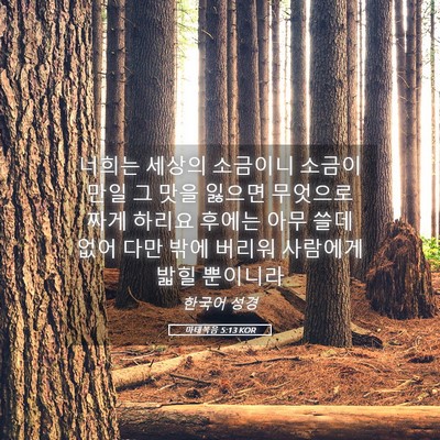 Picture 05 - 마태복음 5:13 KOR - 너희는 세상의 소금이니 소금이 만일 - Bible Verse Picture