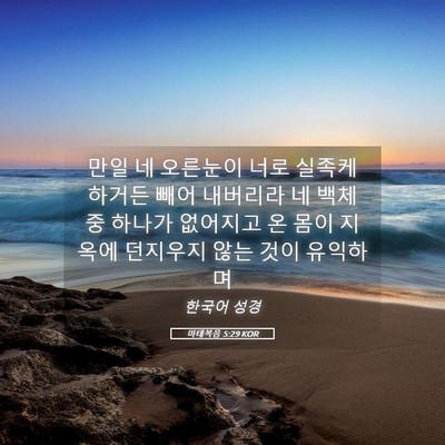 Picture 05 - 마태복음 5:29 KOR - 만일 네 오른눈이 너로 실족케 - Bible Verse Picture