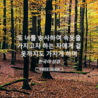Picture 05 - 마태복음 5:40 KOR - 또 너를 송사하여 속옷을 가지고자 - Bible Verse Picture