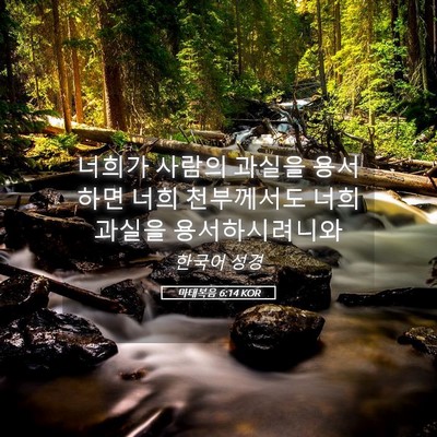 Picture 05 - 마태복음 6:14 KOR - 너희가 사람의 과실을 용서하면 너희 - Bible Verse Picture