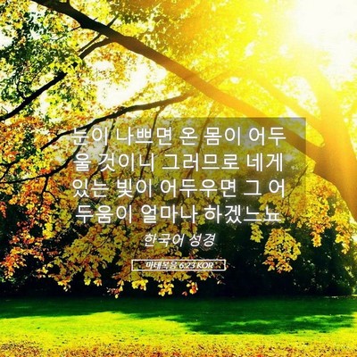 Picture 05 - 마태복음 6:23 KOR - 눈이 나쁘면 온 몸이 어두울 것이니 - Bible Verse Picture