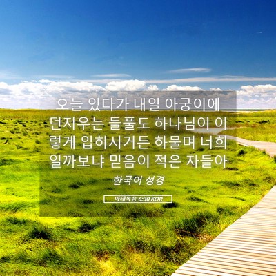Picture 05 - 마태복음 6:30 KOR - 오늘 있다가 내일 아궁이에 던지우는 - Bible Verse Picture