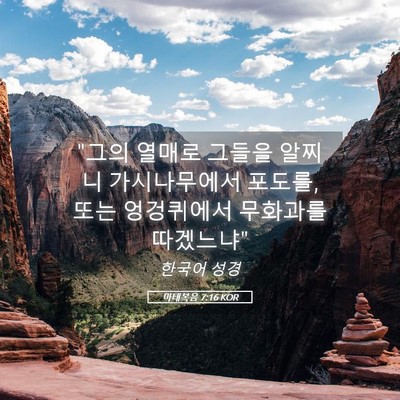 Picture 05 - 마태복음 7:16 KOR - 