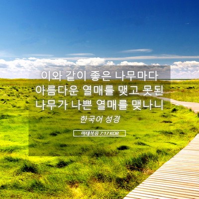 Picture 05 - 마태복음 7:17 KOR - 이와 같이 좋은 나무마다 아름다운 - Bible Verse Picture