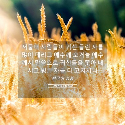Picture 05 - 마태복음 8:16 KOR - 저물매 사람들이 귀신 들린 자를 - Bible Verse Picture