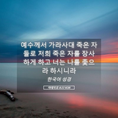 Picture 05 - 마태복음 8:22 KOR - 예수께서 가라사대 죽은 자들로 저희 - Bible Verse Picture