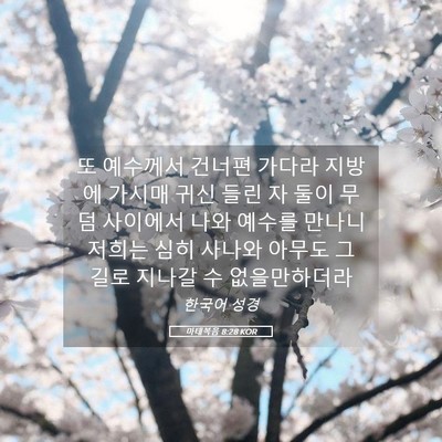 Picture 05 - 마태복음 8:28 KOR - 또 예수께서 건너편 가다라 지방에 - Bible Verse Picture