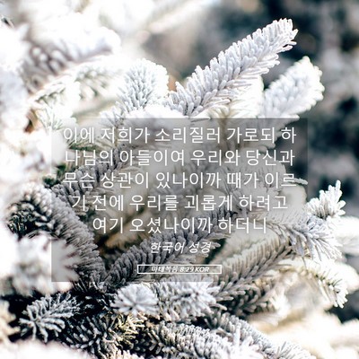 Picture 05 - 마태복음 8:29 KOR - 이에 저희가 소리질러 가로되 - Bible Verse Picture