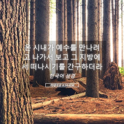 Picture 05 - 마태복음 8:34 KOR - 온 시내가 예수를 만나려고 나가서 - Bible Verse Picture