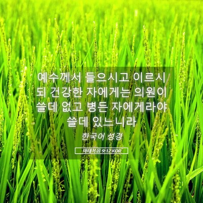 Picture 05 - 마태복음 9:12 KOR - 예수께서 들으시고 이르시되 건강한 - Bible Verse Picture