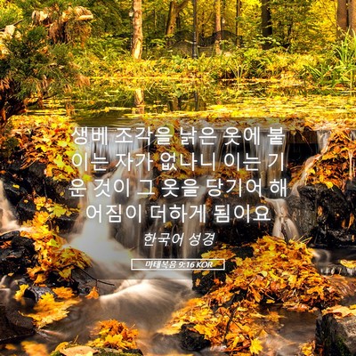 Picture 05 - 마태복음 9:16 KOR - 생베 조각을 낡은 옷에 붙이는 자가 - Bible Verse Picture