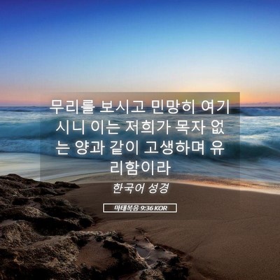 Picture 05 - 마태복음 9:36 KOR - 무리를 보시고 민망히 여기시니 이는 - Bible Verse Picture