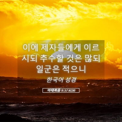 Picture 05 - 마태복음 9:37 KOR - 이에 제자들에게 이르시되 추수할 - Bible Verse Picture