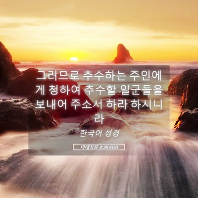 Picture 05 - 마태복음 9:38 KOR - 그러므로 추수하는 주인에게 청하여 - Bible Verse Picture