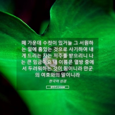 Picture 05 - 말라기 1:14 KOR - 떼 가운데 수컷이 있거늘 그 - Bible Verse Picture