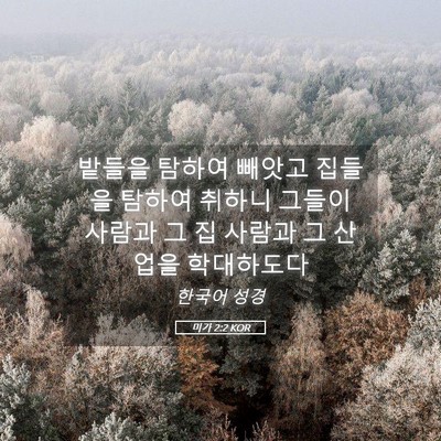 Picture 05 - 미가 2:2 KOR - 밭들을 탐하여 빼앗고 집들을 탐하여 - Bible Verse Picture