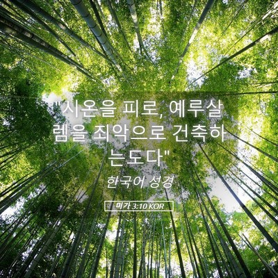 Picture 05 - 미가 3:10 KOR - 