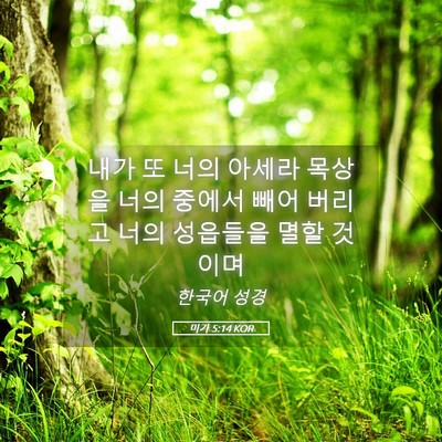 Picture 05 - 미가 5:14 KOR - 내가 또 너의 아세라 목상을 너의 - Bible Verse Picture