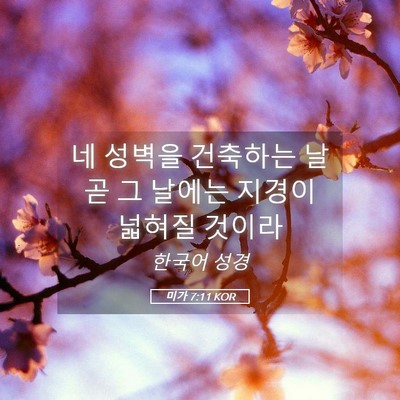 Picture 05 - 미가 7:11 KOR - 네 성벽을 건축하는 날 곧 그 날에는 - Bible Verse Picture