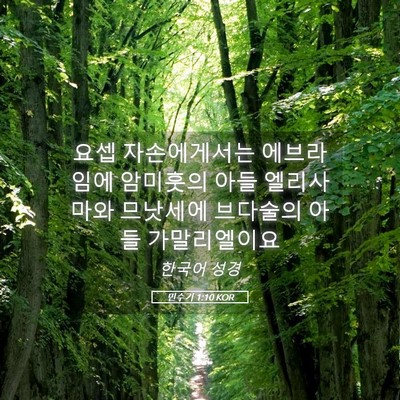 Picture 05 - 민수기 1:10 KOR - 요셉 자손에게서는 에브라임에 - Bible Verse Picture