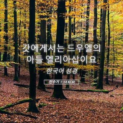 Picture 05 - 민수기 1:14 KOR - 갓에게서는 드우엘의 아들 - Bible Verse Picture